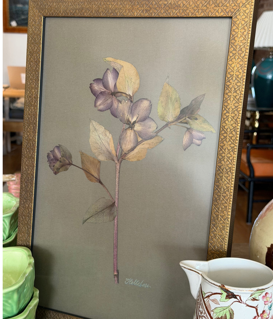 Pressed Purple Hellebores in Marrakesh Gold Frame