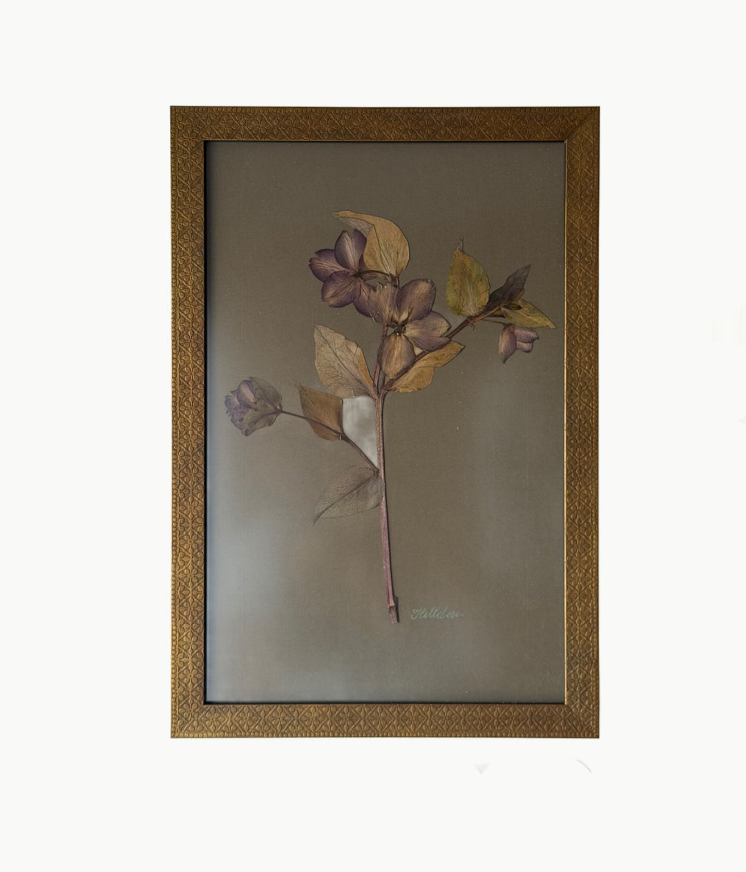 andfound framed pressed floral artwork