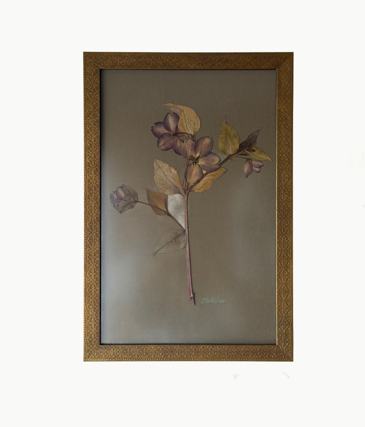 Pressed Purple Hellebores in Marrakesh Gold Frame