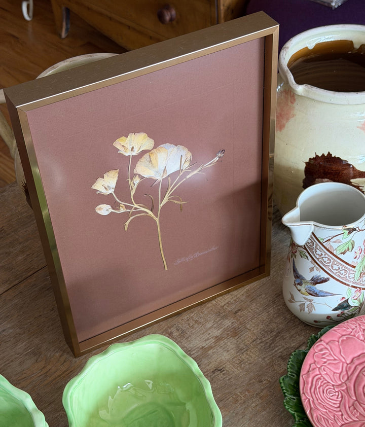 Pressed Butterfly Ranunculus in Gold Frame