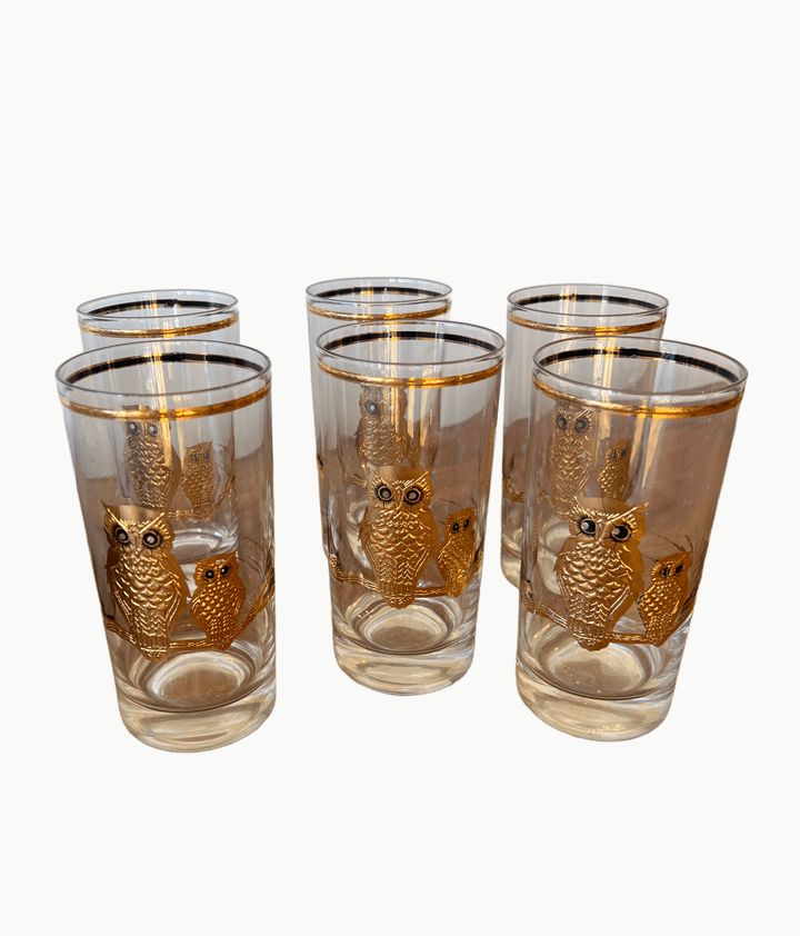 Set of 6 Vintage Culver Highball glasses - 22K Owl Motif - andfoundfurnishings