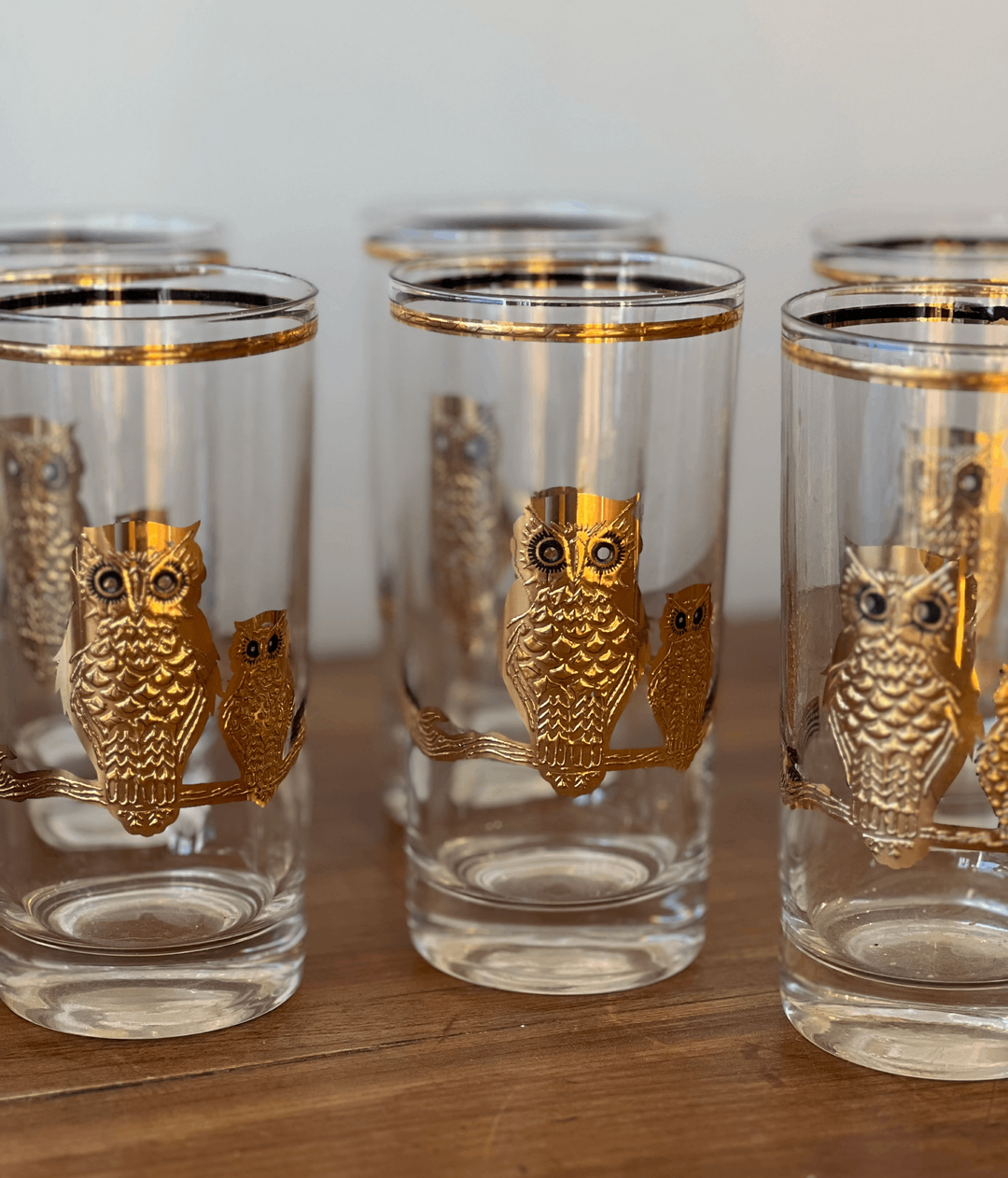 Set of 6 Vintage Culver Highball glasses - 22K Owl Motif - andfoundfurnishings