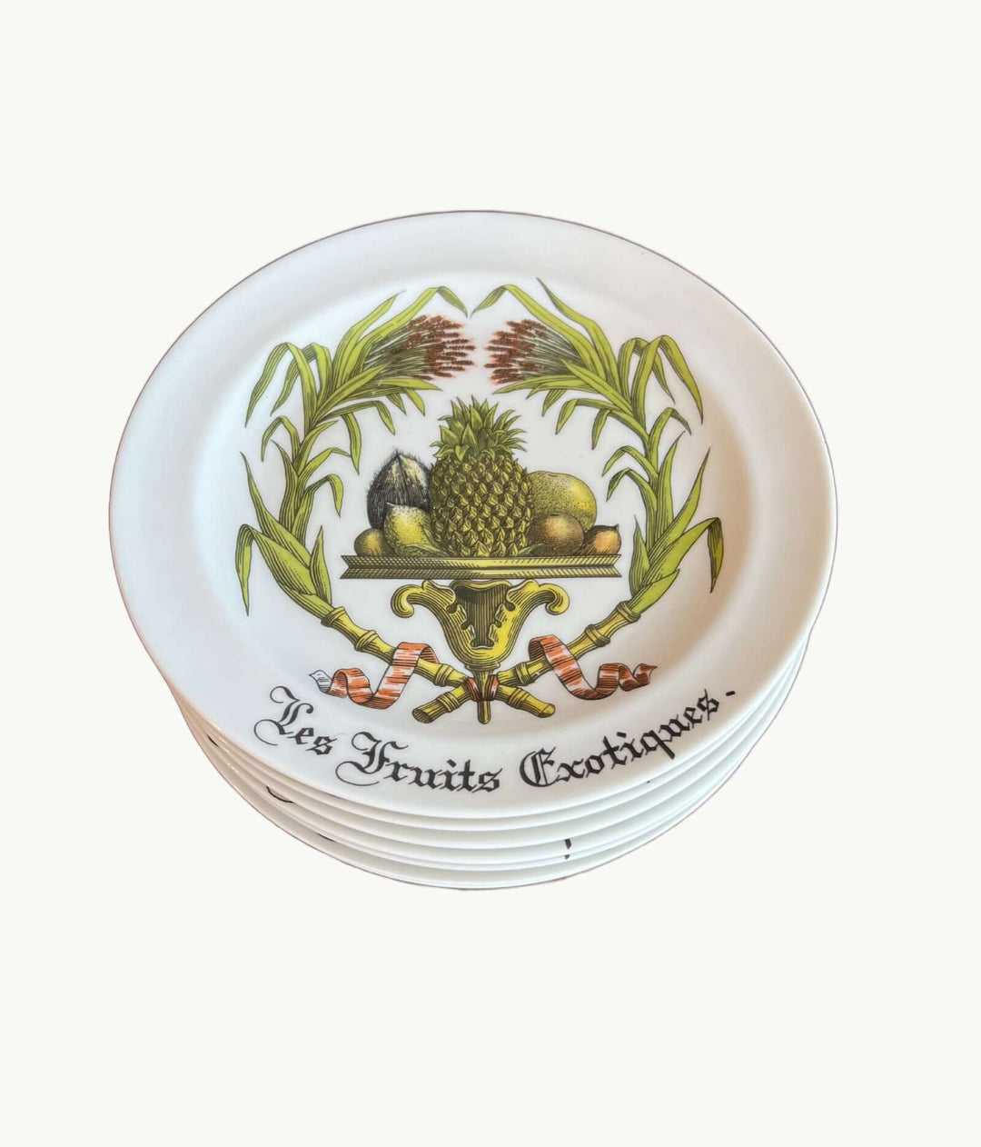 Vintage French porcelain dessert plate with exotic fruit design by Giraud Limoges – Les Fruits Exotiques pattern