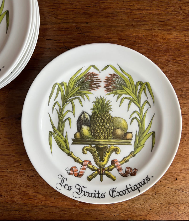 Vintage French porcelain dessert plate with exotic fruit design by Giraud Limoges – Les Fruits Exotiques pattern